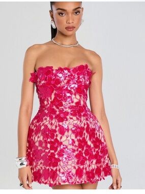 RETROFETE alira lace mini dress in cerise size large NWT